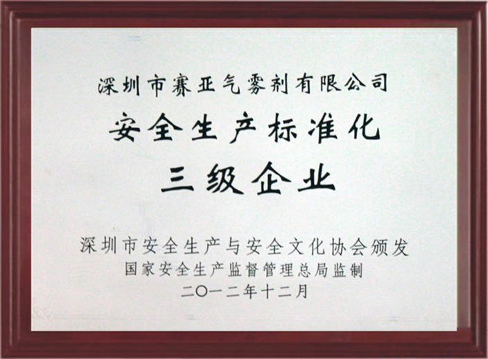 安全生產(chǎn)標(biāo)準(zhǔn)化